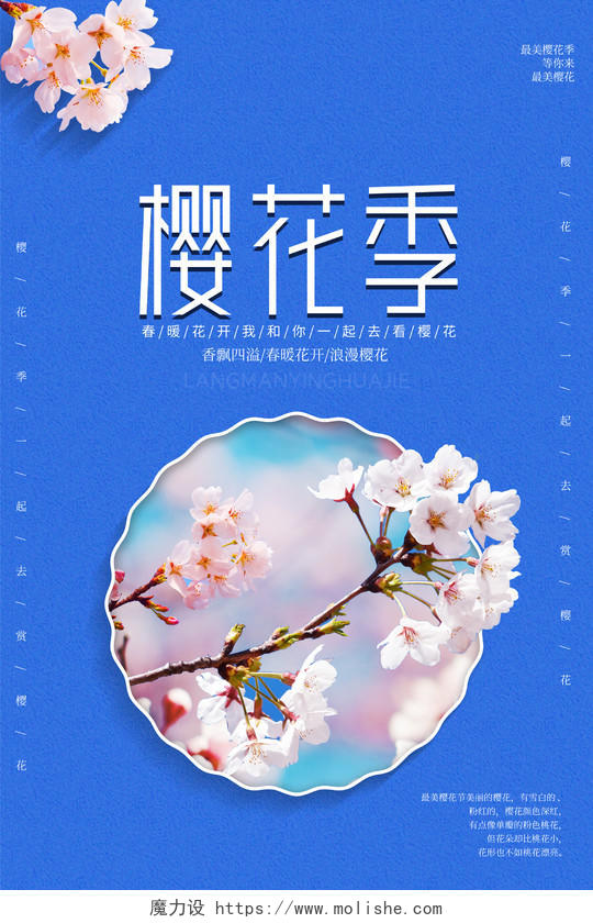 蓝色清新樱花你好春天樱花季樱花节海报